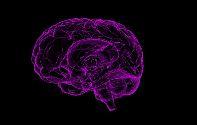 Czy dojrzały mózg może się regenerować?