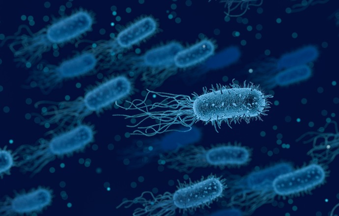 Nowa cząsteczka antybiotyku zwalczająca wielooporne szczepy bakterii