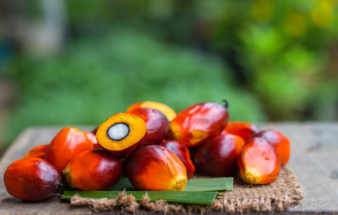 Czy jest się czego bać? Kilka słów o oleju palmowym