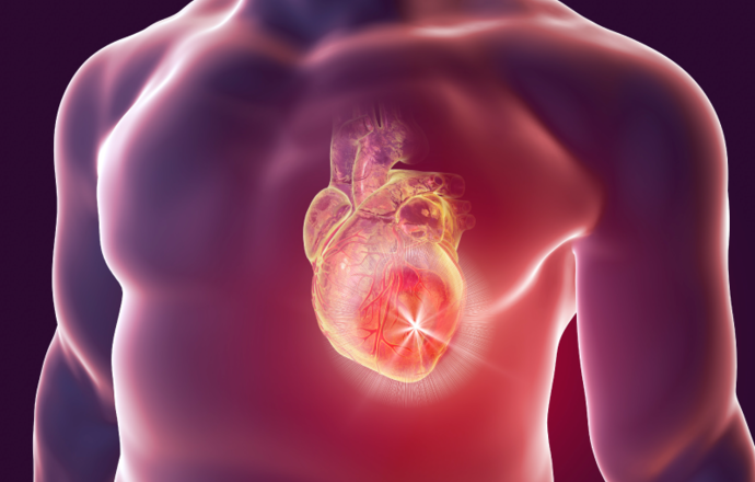 Czy serce „rozmawia” z komórkami tkanki tłuszczowej?