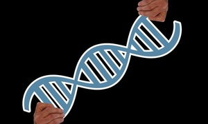 Edycja ludzkiego genomu – gdzie przebiega cienka granica?