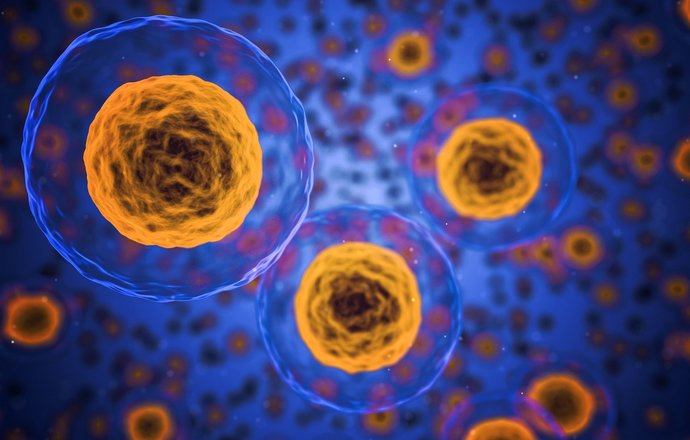 Fizyka pomaga wyjaśnić, co dzieje się na powierzchni komórek. Obiecujące wyniki polsko-chiń