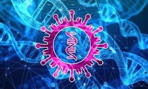 Podatność na koronawirusa zapisana w naszym DNA? Genetycy zauważają pewne predyspozycje