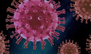 Zidentyfikowano ludzkie przeciwciało, które blokuje SARS-CoV-2