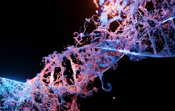 Tam, gdzie nie dociera CRISPR: wiadomo, jak edytować DNA mitochondriów