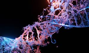 Tam, gdzie nie dociera CRISPR: wiadomo, jak edytować DNA mitochondriów