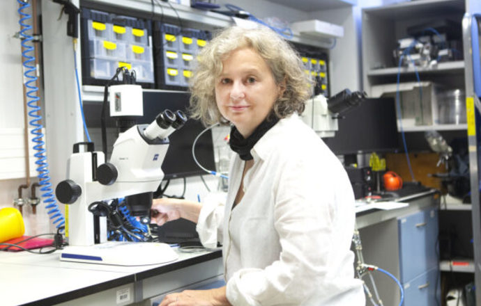 Prof. Ewa Górecka z UW laureatką Nagrody FNP 2020 w obszarze nauk chemicznych i o materiała
