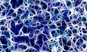 Odkryto komórki odpornościowe stymulujące regenerację włókien nerwowych