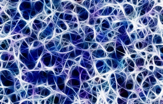 Odkryto komórki odpornościowe stymulujące regenerację włókien nerwowych