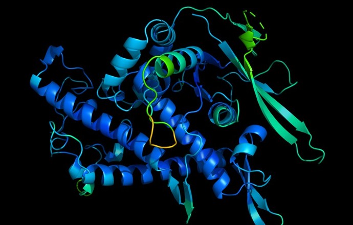 Sztuczna inteligencja zdołała przewidzieć strukturę białka na podstawie sekwencji jego amin