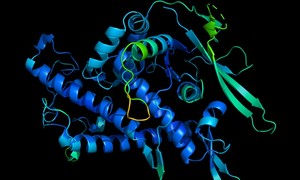 Sztuczna inteligencja zdołała przewidzieć strukturę białka na podstawie sekwencji jego amin
