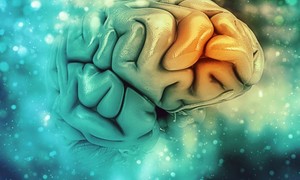 Novo Nordisk ogłasza wejście doustnego semaglutydu w III fazę rozwoju w terapii Alzheimera