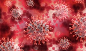 Vir Biotechnology i GSK ogłosiły badanie oceniające stosowanie preparatu VIR-7832 we wczesn