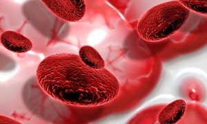 Czujność hematoonkologiczną musimy mieć we krwi