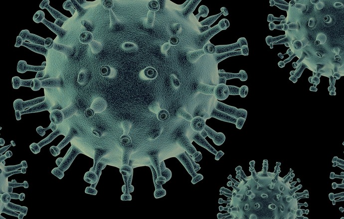 „Nanoprzynęta” na wirusa