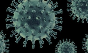 „Nanoprzynęta” na wirusa