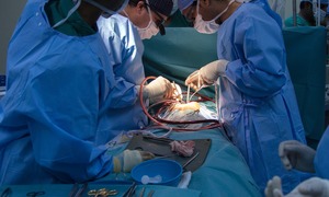 Innowacyjny płyn do przechowywania narządów do transplantacji polskich specjalistów