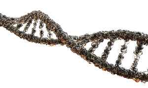 Wyodrębniono 15 genów silnie powiązanych z chorobą afektywną dwubiegunową