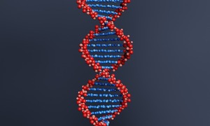 Jakie geny mogą zapewniać oporność na COVID-19? Badania naukowe dostarczają odpowiedzi
