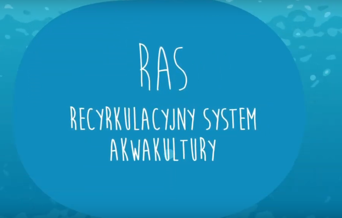 Czym jest Recyrkulacyjny System Akwakultury?