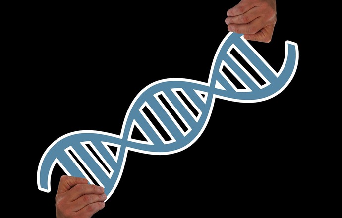 Terapie komórkowe i genowe – czy wiesz jak wybrać odpowiedniego dostawcę materiałów? 