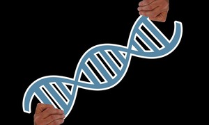 Terapie komórkowe i genowe – czy wiesz jak wybrać odpowiedniego dostawcę materiałów? 