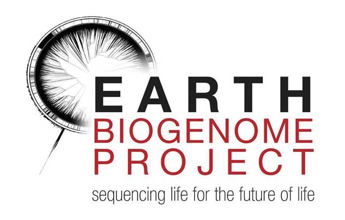 Projekt sekwencjonowania DNA całej eukariotycznej bioróżnorodności Ziemi nabiera rozpędu