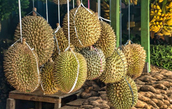 Naturalny materiał sorpcyjny pochodzący ze skórki duriana