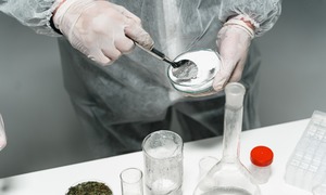 Naukowcy z Krakowa odkryli nową metodę usuwania narkotyków z organizmu