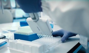 Pure Biologics ze zgodą FDA na przeprowadzenie badania klinicznego fazy 0 w projekcie PB004