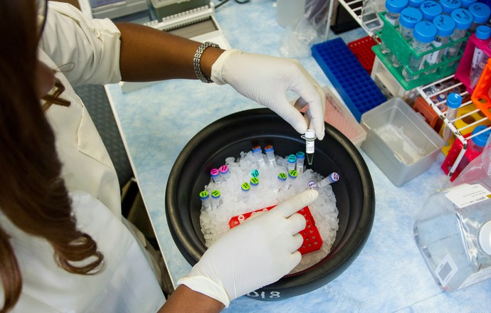 Komórki macierzyste z laboratoryjnych hodowli mogą sprzyjać nowotworom