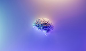 Odkrycie MEDY przywraca zamrożoną tkankę mózgową do życia