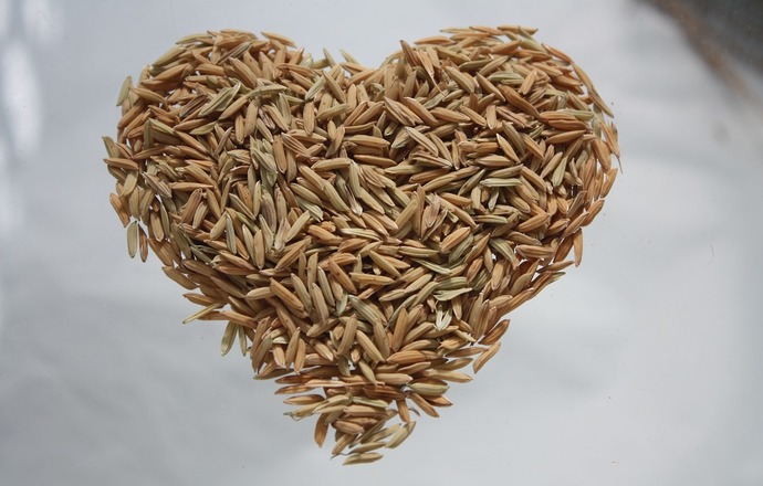 Chińscy naukowcy odkryli gen GSE3, który zwiększa produkcję ryżu hybrydowego do 38%