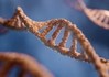 Nowe sekwencjonowanie DNA wykrywa wczesne zmiany genetyczne i może pomóc w leczeniu raka