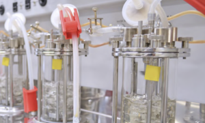 Grawimetria w bioreaktorze – niezawodne dozowanie przy użyciu wag