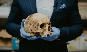 9000 lat ciągłości genetycznej – zrekonstruowano najstarsze w historii DNA!