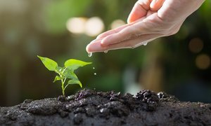 Innowacyjne produkty biologiczne szansą na zwiększenie produktywności rolnictwa