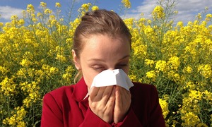 Coraz więcej alergików korzysta z immunoterapii podjęzykowej. Nie jest ona dostępna dla naj