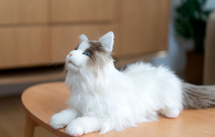 Inteligentne futro i sztuczne serce – o MetaCat i przyszłości biomimetycznych robotów terap