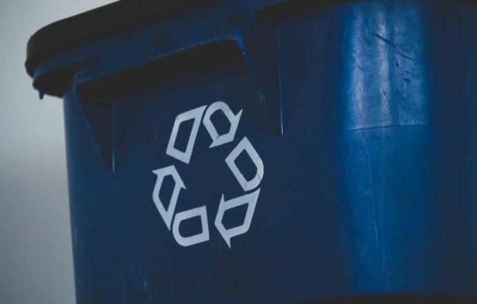 Polacy opracowali technologię rozkładającą tekstylia za pomocą grzybów