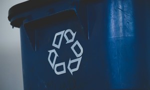 Polacy opracowali technologię rozkładającą tekstylia za pomocą grzybów