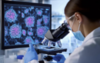 Automatyzacja hodowli komórkowych – klucz do nowoczesnych badań biologicznych i farmaceutyc