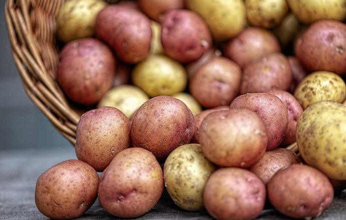 Kolorowe ziemniaki, czyli superfoods po polsku
