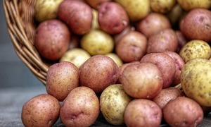 Kolorowe ziemniaki, czyli superfoods po polsku