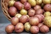 Kolorowe ziemniaki, czyli superfoods po polsku