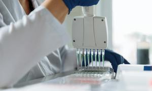 Biotechnologia – cichy sprzymierzeniec wielkich marek