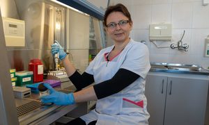 Nowa metoda diagnozowania przewlekłej białaczki opracowana w Uniwersyteckim Szpitalu Klinic