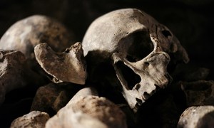Mikrobiom sprzed tysiąca lat. Co wnętrze człowieka z prekolumbijskiego Meksyku mówi o przes