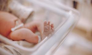 Sztuczna macica – życie dla skrajnych wcześniaków?