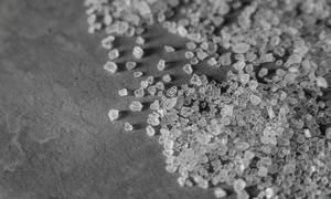 Jod znów na cenzurowanym – ekspertka ostrzega przed jego niedoborami